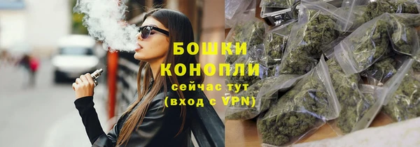 трава Бородино