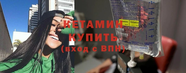 трава Бородино