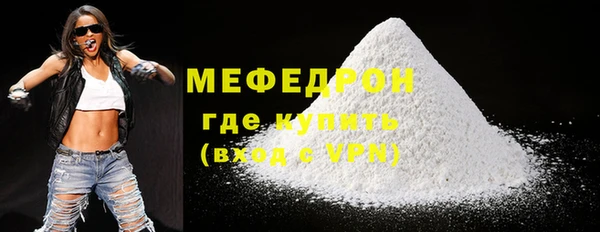 индика Богородск