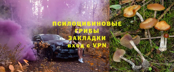 трава Бородино