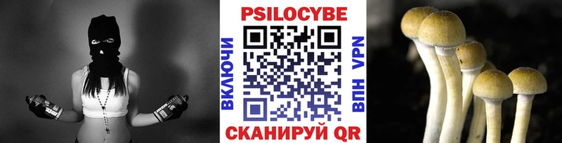 Псилоцибиновые грибы GOLDEN TEACHER  как найти закладки  это наркотические препараты  Гурьевск 