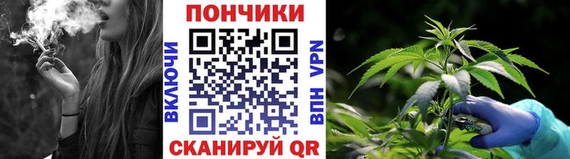 OMG сайт  Гурьевск  Каннабис марихуана 